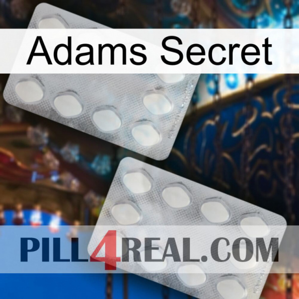 Adams Secret 17.jpg